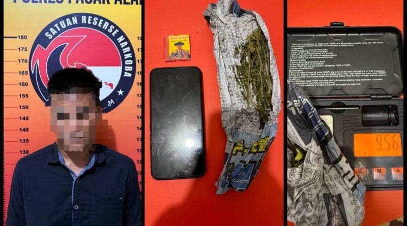 Satresnarkoba Polres Pagar Alam amankan pria 30 tahun diduga miliki ganja. Polisi sita barang bukti dan uji urine positif narkotika.