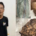 Polda Sumsel Tangkap Pelaku Curat Target Operasi Sikat II Musi 2025 di OKU Selatan